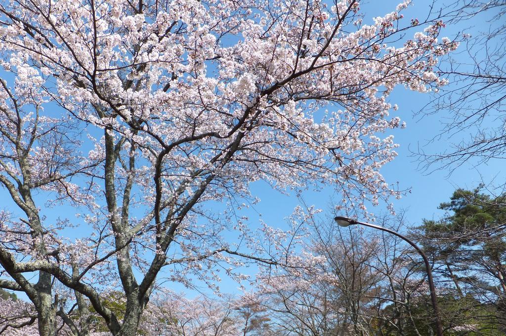 Maple Inagawa Kawabe (Kinki) Exterior foto